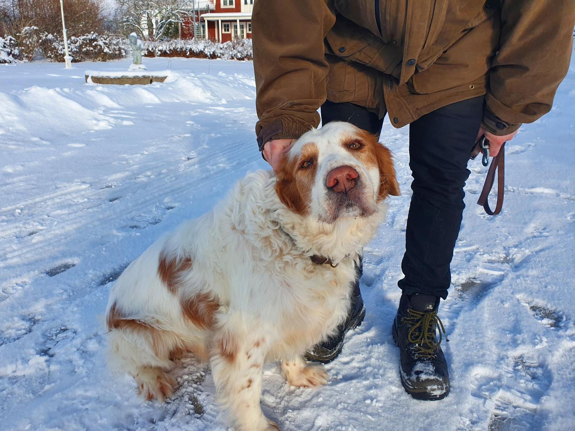 Smalandsgarden Hotel Gränna Kültér fotó